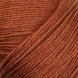 Yarn Regia Silk 4-ply / Rust red 00085