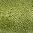 Linen thread 80/500m / Green 262