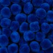 Acrylic pom-poms set 6 mm / Blue