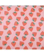 Raincoat fabric / K68516
