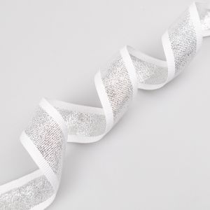 Lampasses ribbon lurex 30mm / White-Silver