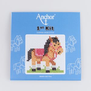 Embroidery Kit / Pony