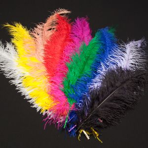 Feather / Ostrich / 50 cm / Different shades