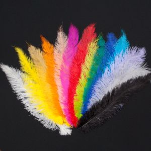 Feather / Ostrich / 40 cm / Different shades