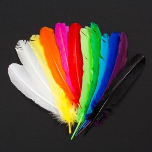Feather / Turkey / Different shades