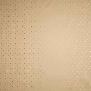 Lining with pattern / Golden