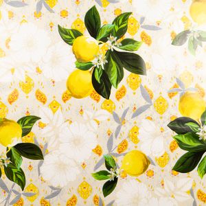 PVC tablecloth Wondertex 6025/02