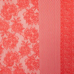Lace Petra / Ferrari Red