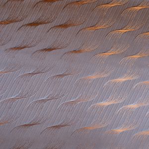 Lining with pattern / Orange