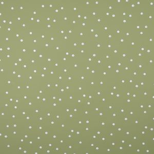 Raincoat fabric / Light green