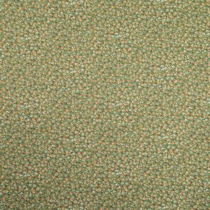 Printed linen cotton / D19