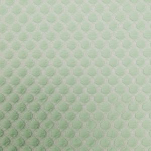 Lace / Light Green