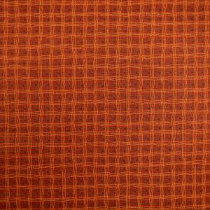 Printed cotton / D13