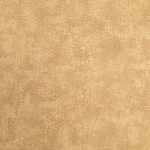 Printed cotton / D22 Snake skin