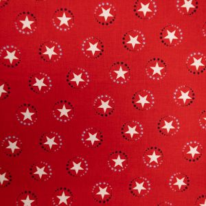 Printed cotton / D23 Stars