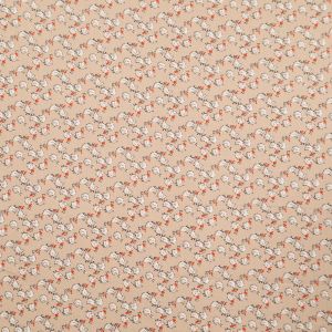 Print cotton / Ducks