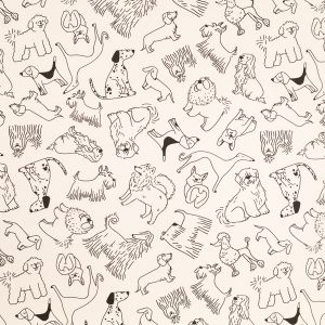 Bedsheeting / D29