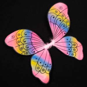 Fairy wings / Rainbow Glitter
