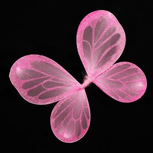 Fairy Wing set / Pink