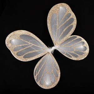 Fairy Wing set / Bronze