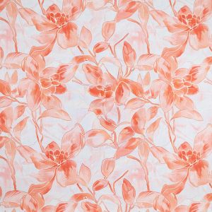 Print Cotton poplin Fabric / Peach