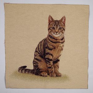 Tapestry panel / Sitting Kitten Cat