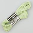 Embroidery floss / Green 1679 (579)