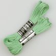 Embroidery floss / Green 1676 (588)