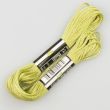 Embroidery floss / Green 1691 (598)