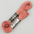 Embroidery floss / Brown 1749 (643)