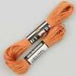 Embroidery floss / Brown 1534 (681)