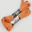 Embroidery floss / Brown 1741 (682)