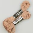 Embroidery floss / Brown 1783 (650)