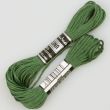 Embroidery floss / Green 1672 (581)
