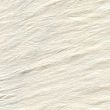 Cotton sheeting fabric / 310 Salat Green