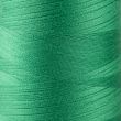Overlock Thread / Green 243