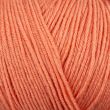 Yarn Regia Silk 4-ply 100 g / Apriocot 00032