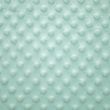 Minky fleece / Light blue