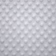 Minky fleece / White
