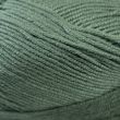 Yarn Woolbox Imagine Classic Anti Pilling DK 100g / Evergreen 212