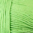 Yarn Woolbox Wooligurumi 50g / Apple