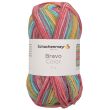 Yarn Schachenmayr Bravo Color 50 g / 02120 Clown