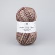 Yarn Rico Socks Earth Wind + Fire 4 ply / Terra 005