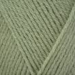 Yarn Emu Classic DK 100 g / Juniper (141)
