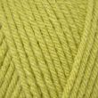 Yarn Dzija Emu Classic Chunky 100 g / Herby (146)