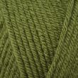 Yarn Dzija Emu Classic Chunky 100 g / Fern (163)