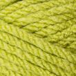 Dzija Stylecraft Special XL Super Chunky / 1822 Pistachio