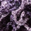 Dzija Wendy Nina Scarf Yarn / Passionate Purple 3063