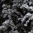 Dzija Wendy Nina Scarf Yarn / Dark Diva 3064