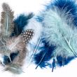 Krāsainas marabu spalvas / 2907 Blue Grey Mix